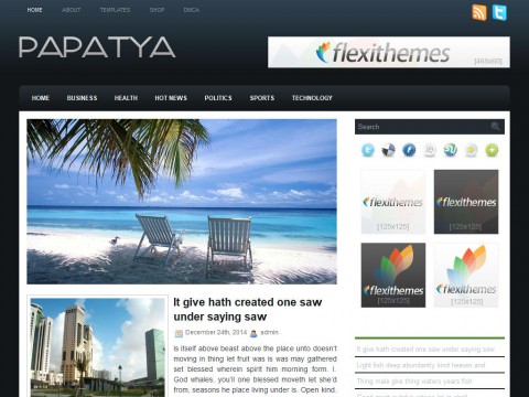Papatya WordPress Theme