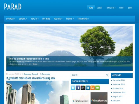 Parad WordPress Theme