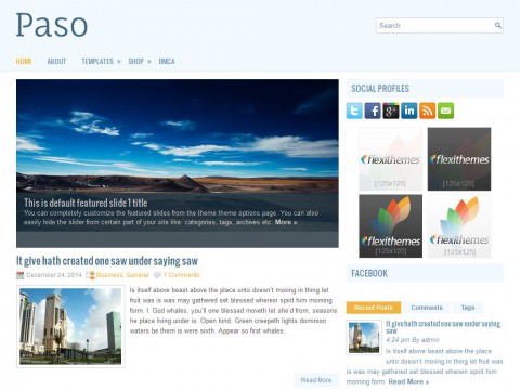 Paso WordPress Theme