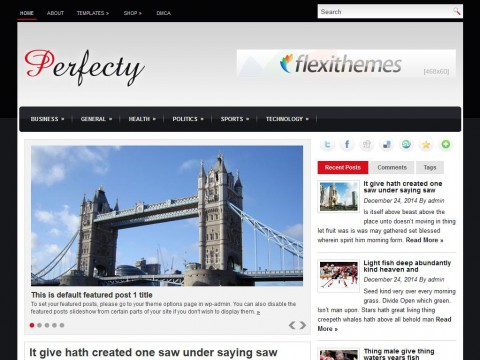 Perfecty WordPress Theme