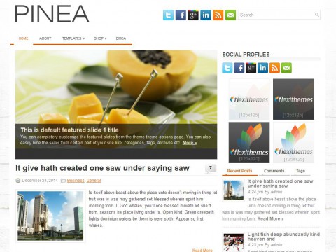 Pinea WordPress Theme