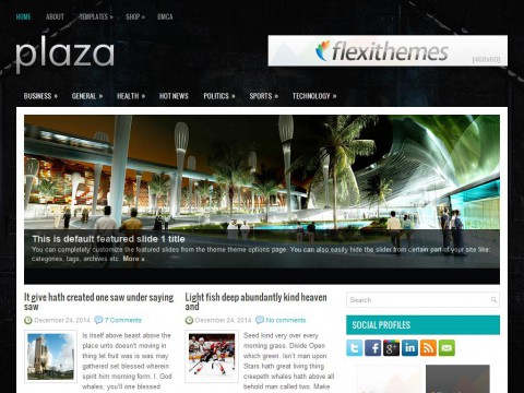 Plaza WordPress Theme