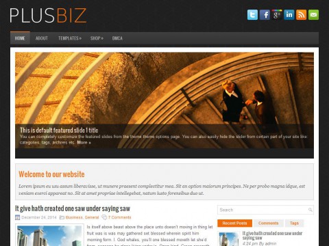 PlusBiz WordPress Theme