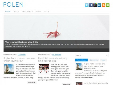 Polen WordPress Theme