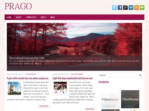 Prago WordPress Theme