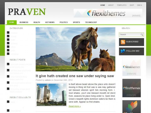 Praven WordPress Theme