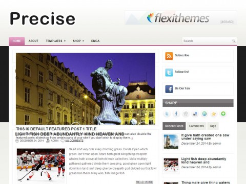 Precise WordPress Theme