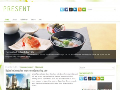 Present WordPress Theme