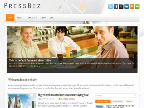 PressBiz WordPress Theme