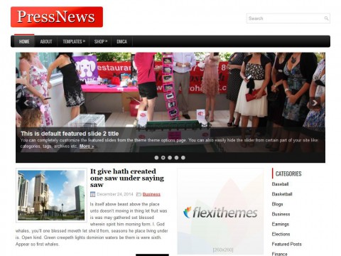 PressNews WordPress Theme