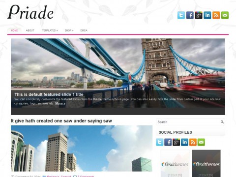 Priade WordPress Theme