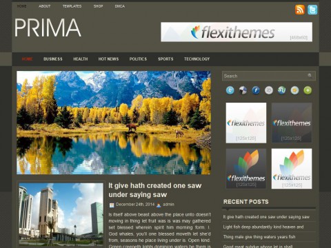 Prima WordPress Theme