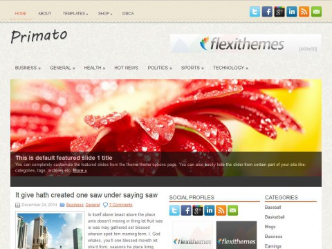 Primato WordPress Theme