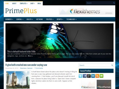 PrimePlus WordPress Theme