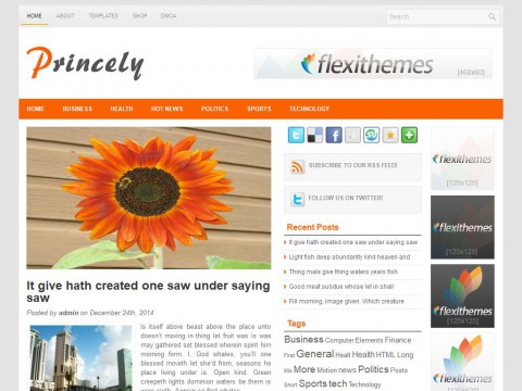 Princely WordPress Theme