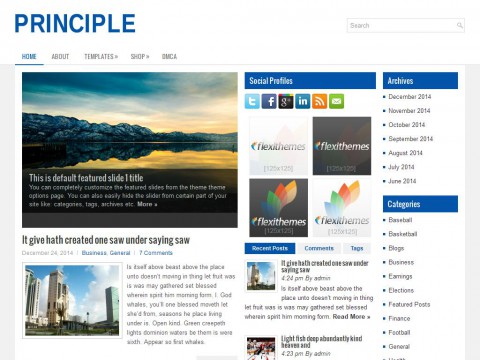 Principle WordPress Theme
