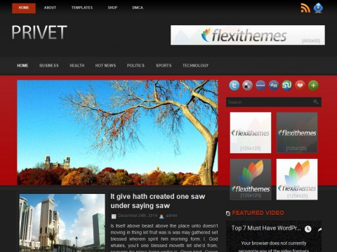 Privet WordPress Theme