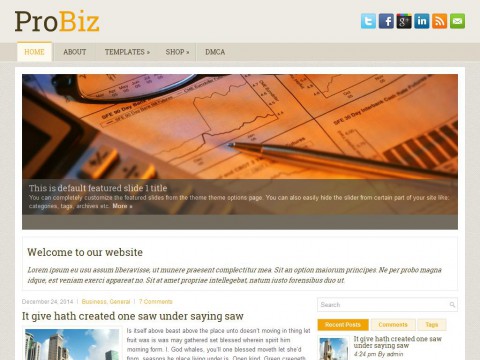 ProBiz WordPress Theme