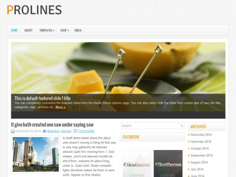 ProLines WordPress Theme
