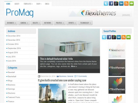 ProMag WordPress Theme