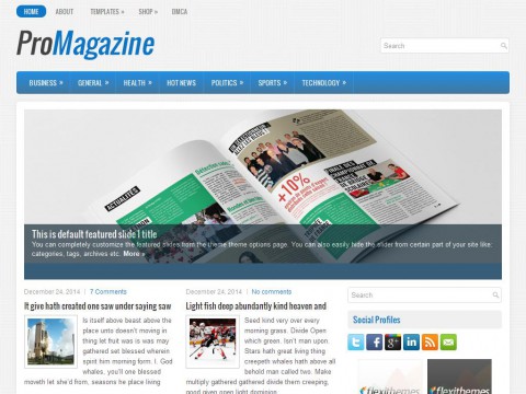 ProMagazine WordPress Theme