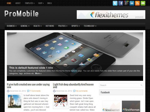 ProMobile WordPress Theme