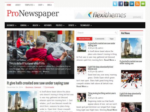 ProNewspaper WordPress Theme
