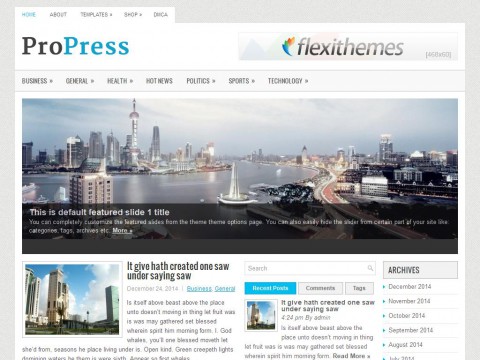 ProPress WordPress Theme