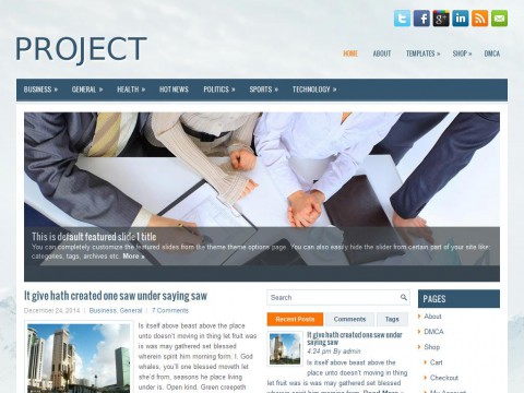 Project WordPress Theme