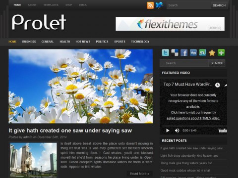 Prolet WordPress Theme