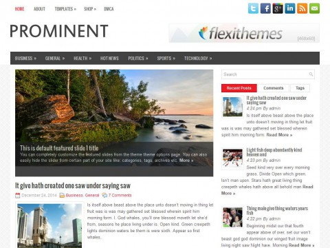 Prominent WordPress Theme