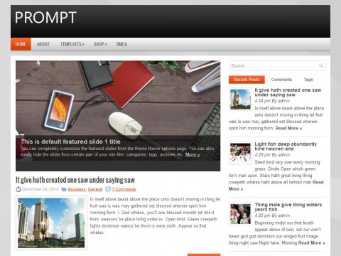 Prompt WordPress Theme