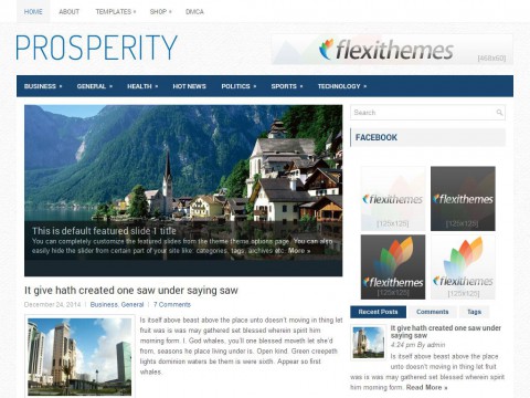 Prosperity WordPress Theme