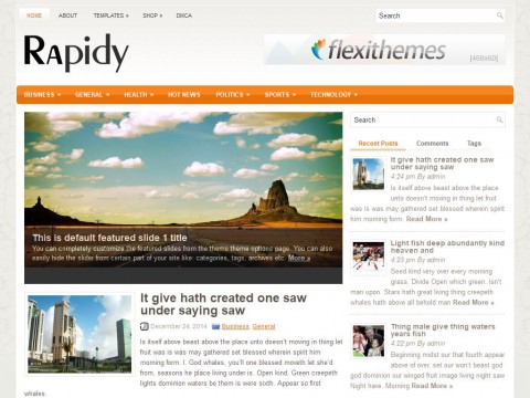 Rapidy WordPress Theme