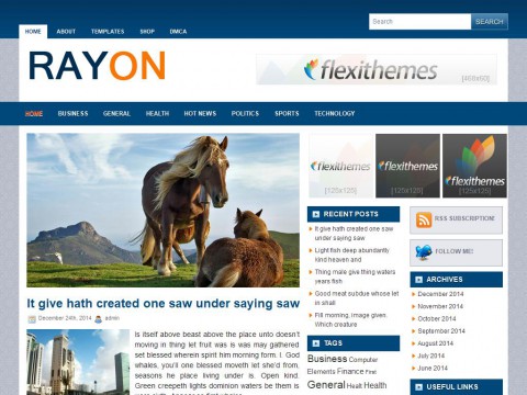 Rayon WordPress Theme