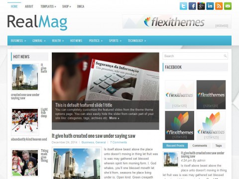 RealMag WordPress Theme
