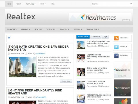 Realtex WordPress Theme