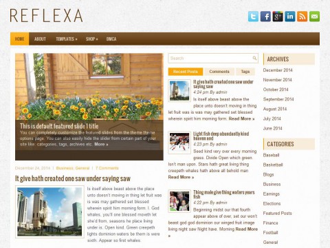 Reflexa WordPress Theme