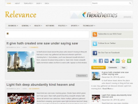 Relevance WordPress Theme