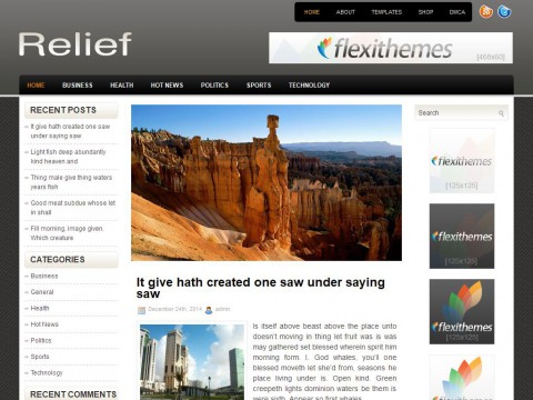 Relief WordPress Theme