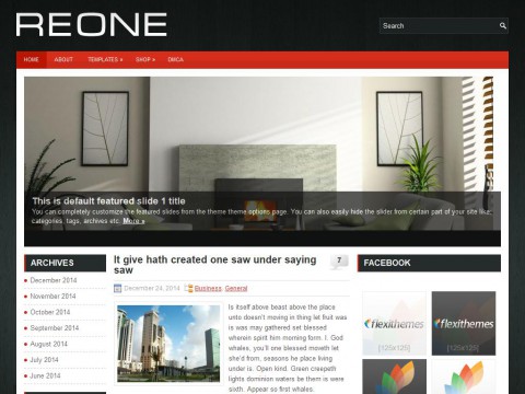 Reone WordPress Theme