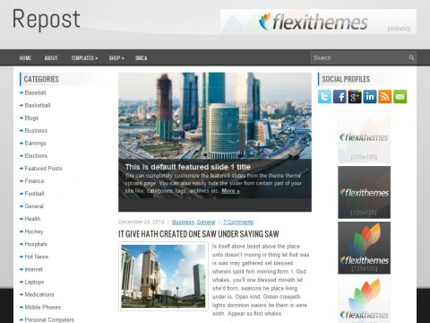 Repost WordPress Theme