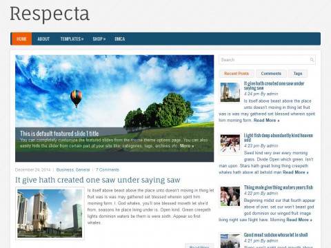 Respecta WordPress Theme