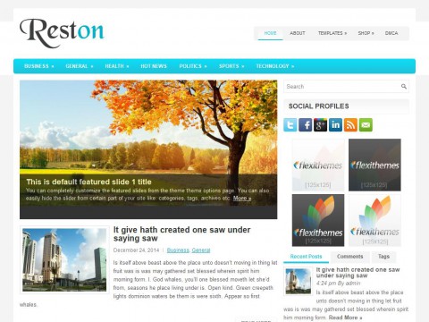 Reston WordPress Theme