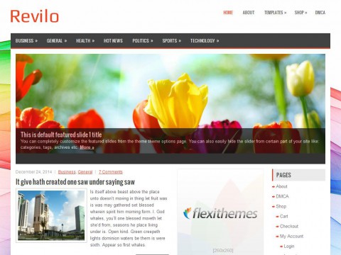 Revilo WordPress Theme