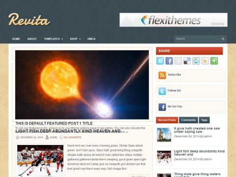 Revita WordPress Theme