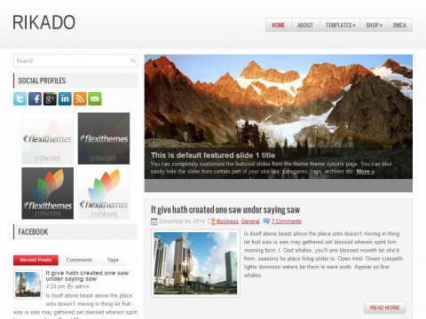 Rikado WordPress Theme