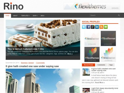 Rino WordPress Theme