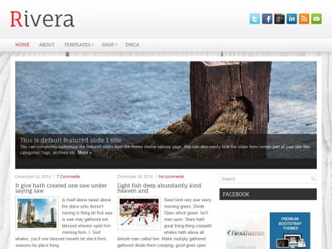 Rivera WordPress Theme