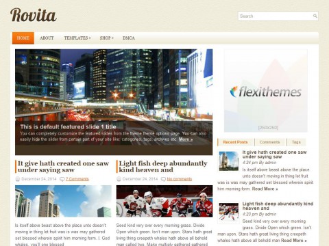 Rovita WordPress Theme